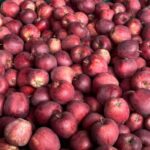 Red Delicious